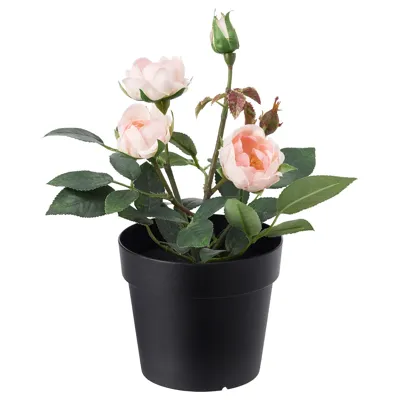 FEJKA artificial potted plant, in/outdoor/Rose pink, 9cm, 10395317