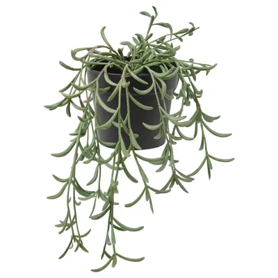 FEJKA Artificial potted plant, in/outdoor/String of bananas hanging 9 cm, 10508404