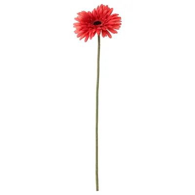 SMYCKA artificial flower, Gerbera/red, 50 cm, 30409752