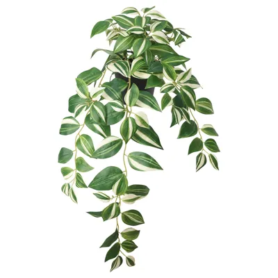 FEJKA Artificial potted plant, in/outdoor/tradescantia zebrina, 12 cm, 40546579