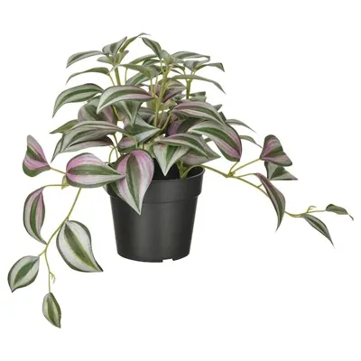 FEJKA Artificial potted plant, in/outdoor Spiderwort 9 cm, 50493368