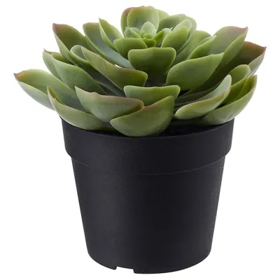 FEJKA Artificial potted plant, in/outdoor Succulent 9 cm, 70395296