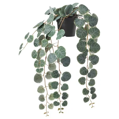 FEJKA Artificial potted plant, in/outdoor hanging/String of hearts 9 cm, 70461125