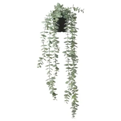 FEJKA Artificial potted plant, in/outdoor hanging/eucalyptus 9 cm, 90466810