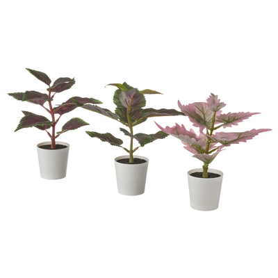 FEJKA ARTIFICIAL potted plant w pot, set of 3, in/outdoor Painted nettle, 6 cm 30522970