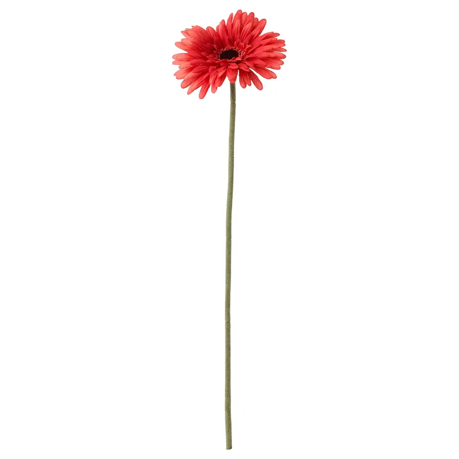 SMYCKA artificial flower, Gerbera/red, 50 cm, 30409752