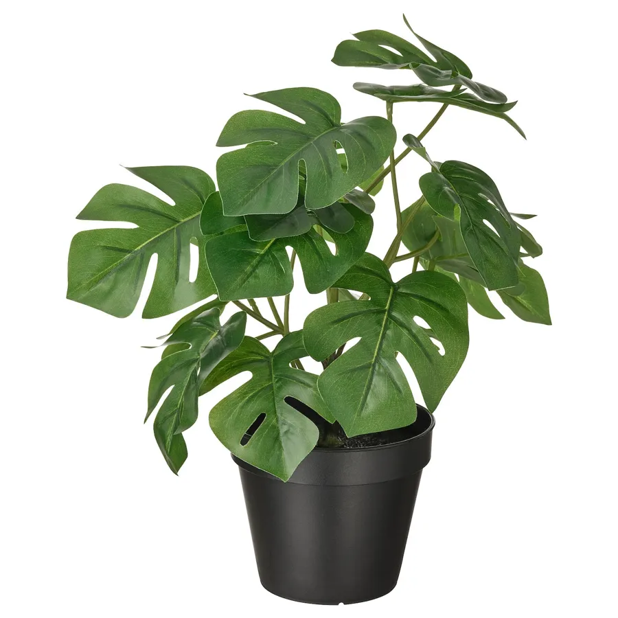FEJKA Artificial potted plant, in/outdoor Monstera, 12 cm, 30493345