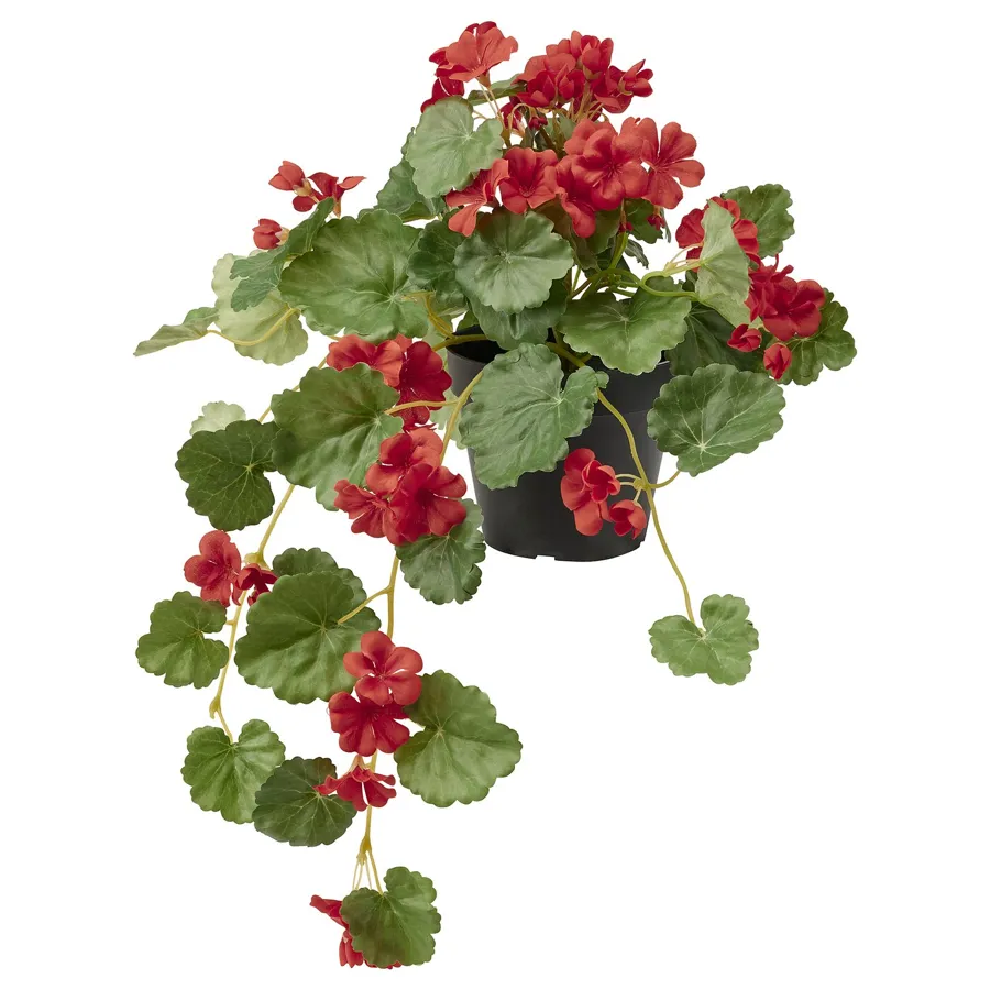 FEJKA Artificial potted plant, in/outdoor Geranium/hanging red 12 cm, 70506478