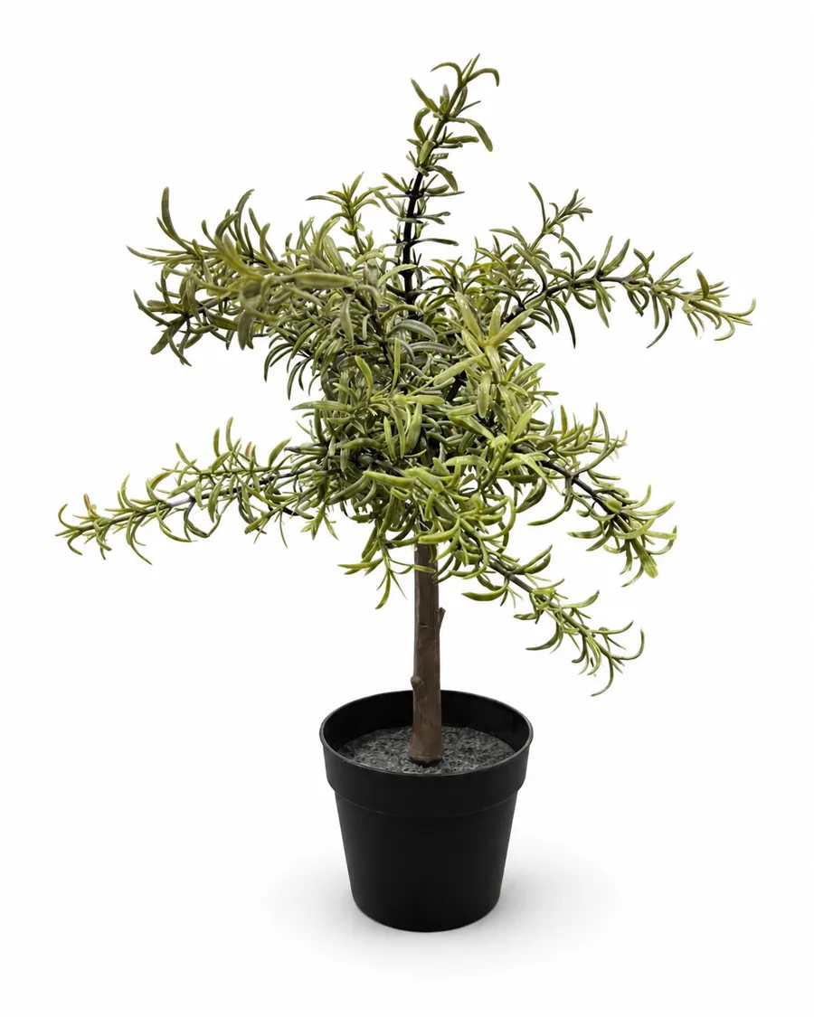 FEJKA Artificial potten plant, 9cm, herbs/stem assorted, 50287655