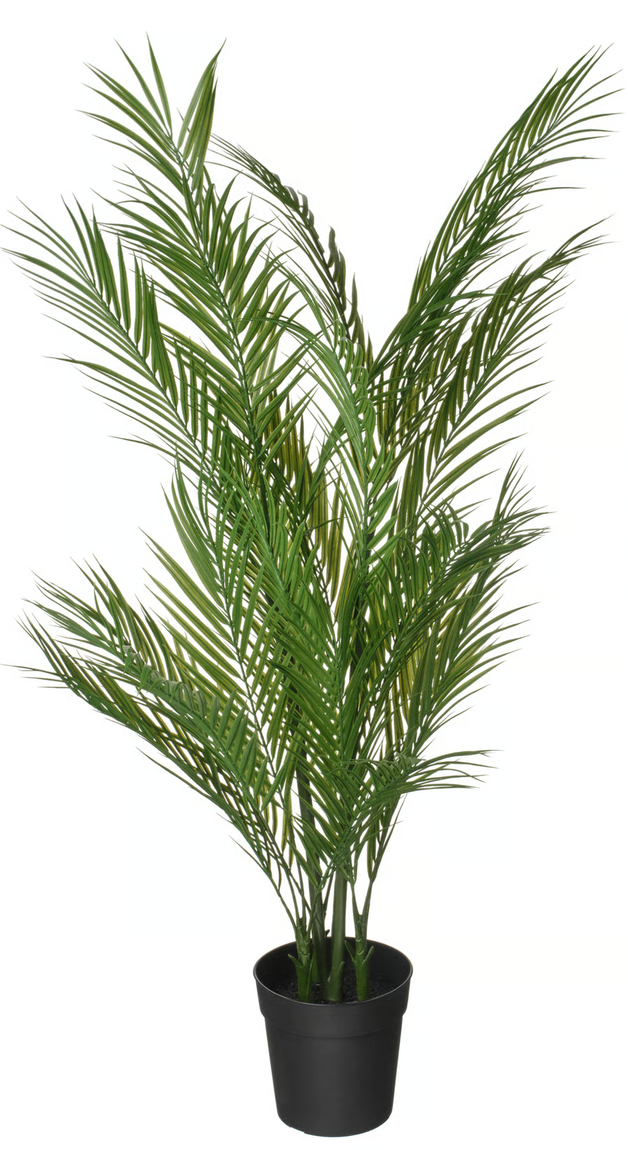 FEJKA Artificial potted plant, in/outdoor Areca palm, 19 cm, 80600890