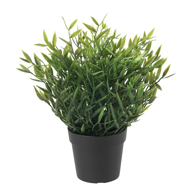 FEJKA Artificial potted plant, in/outdoor House bamboo, 9 cm 40433940
